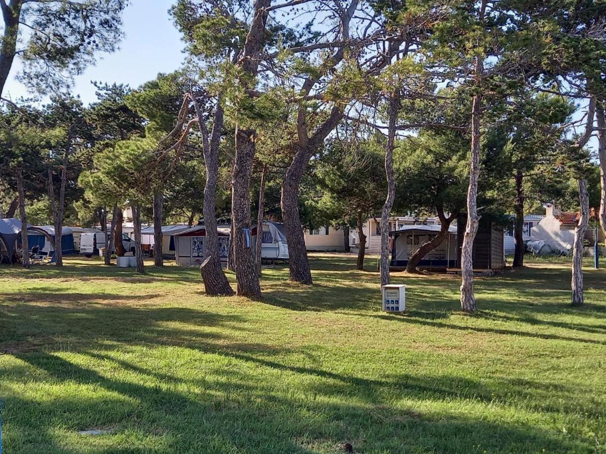 Sand & Relax Privlaka - Mobile Home Gloria Luaran gambar